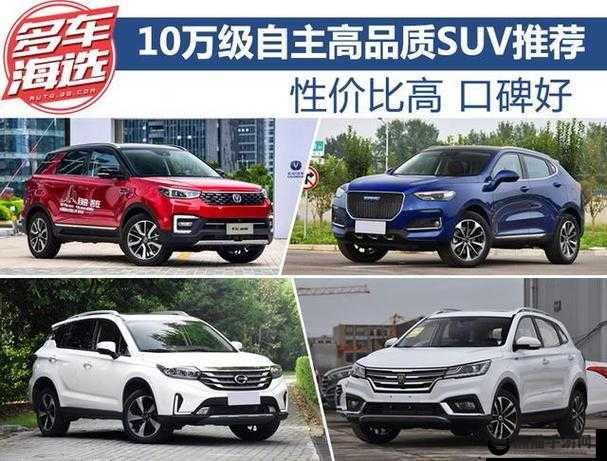 国产 SUV 大全：全面解读各类国产 SUV 的卓越性能与特色